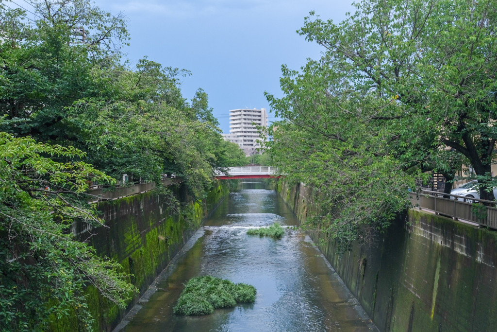 石神井川