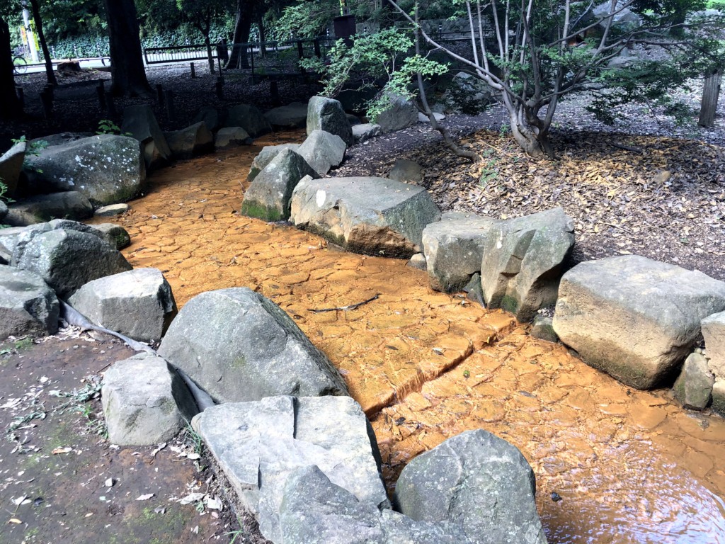 和田堀公園の川