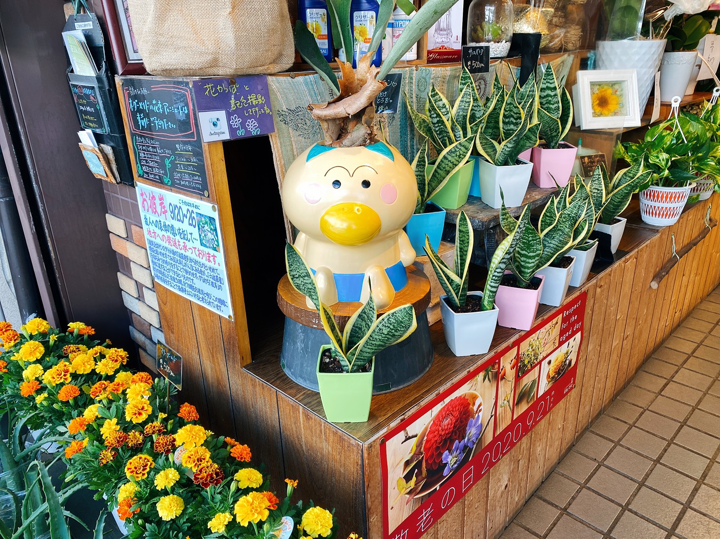 大森 90年間 大森を彩ってきた老舗のお花屋さん大花園 街のイイところ