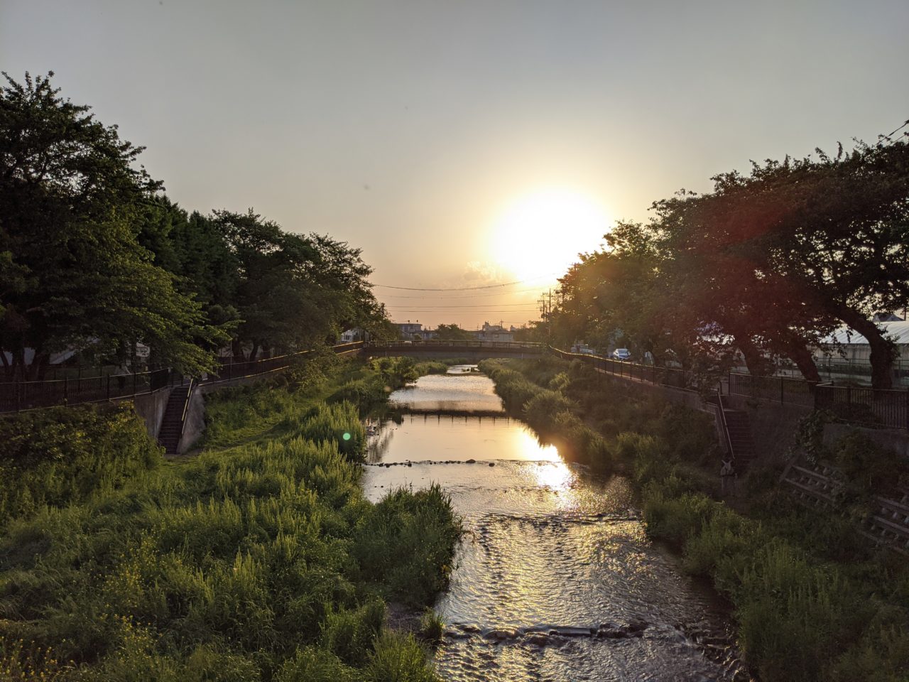 野川の夕日