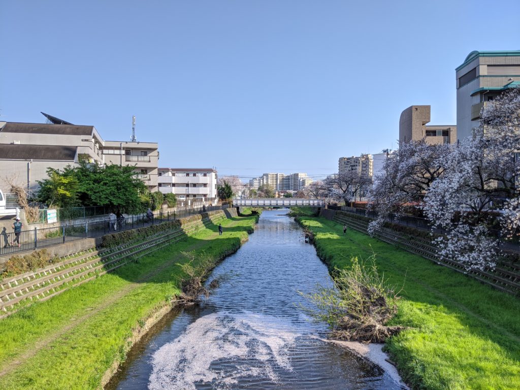 野川遊歩道