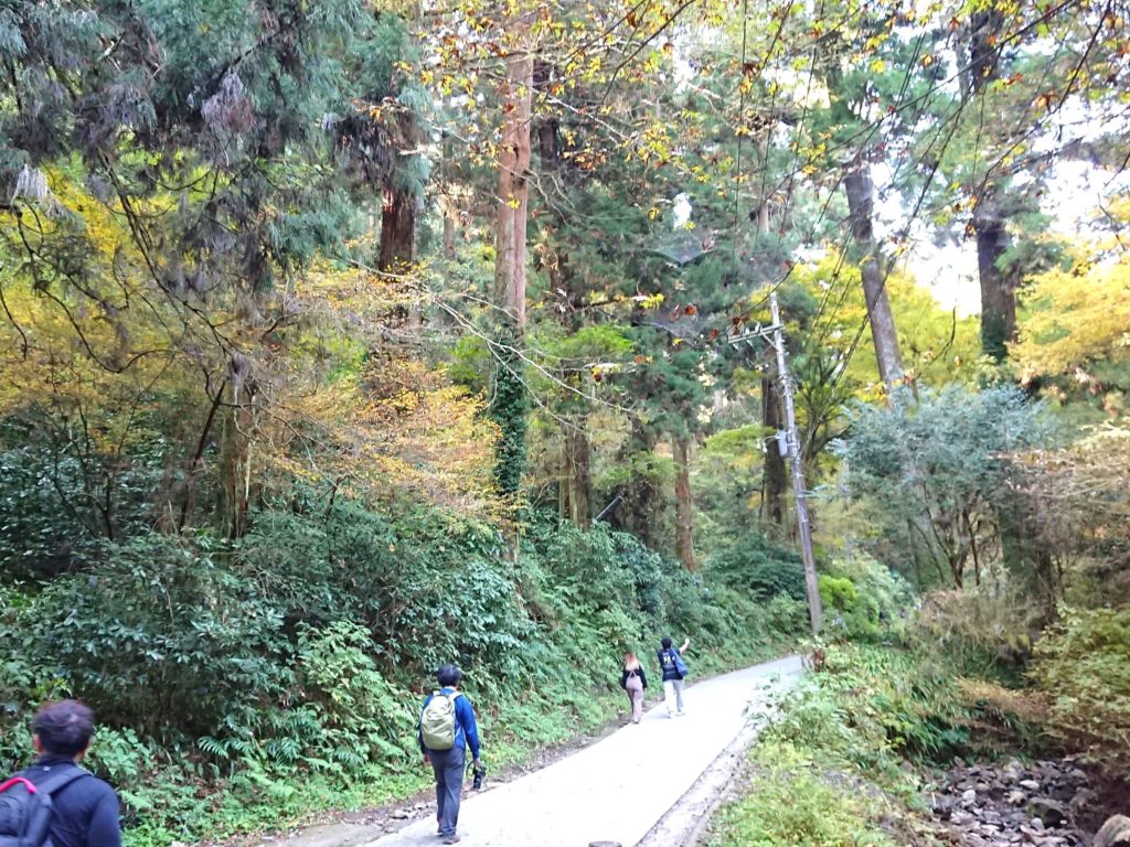 高尾山１号路