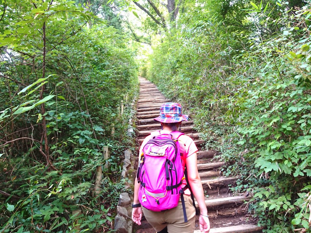 山登り