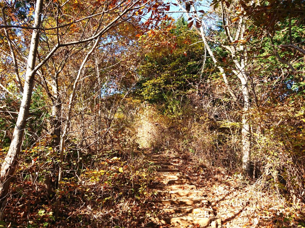 秋の登山道