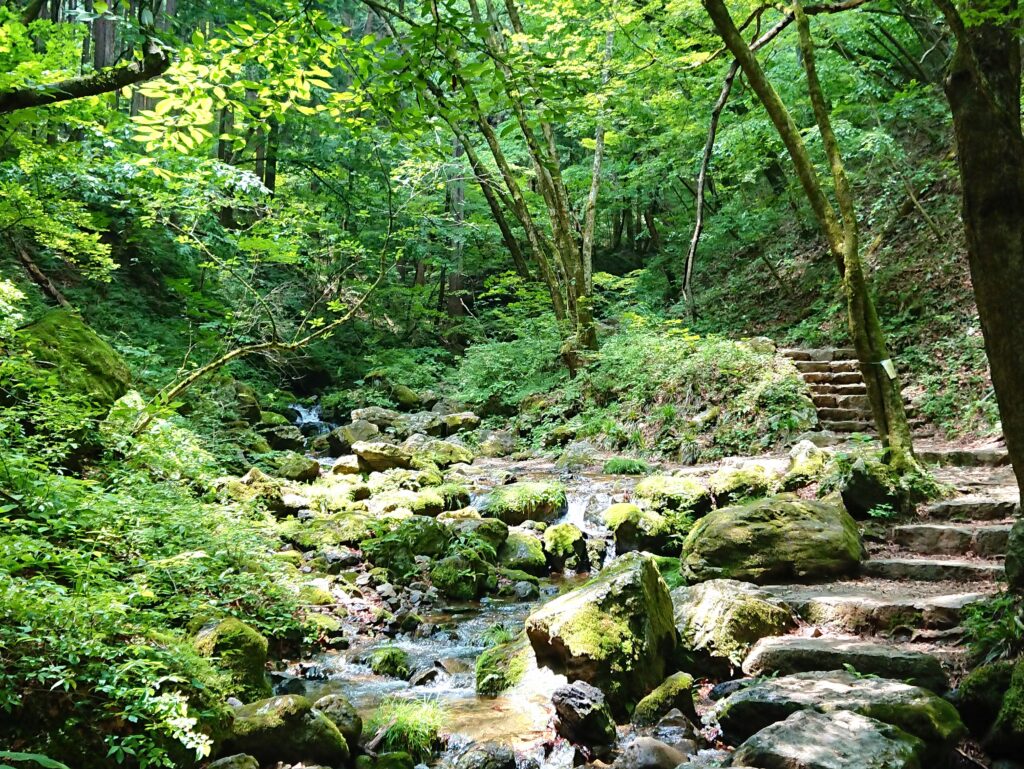 御岳山ロックガーデン