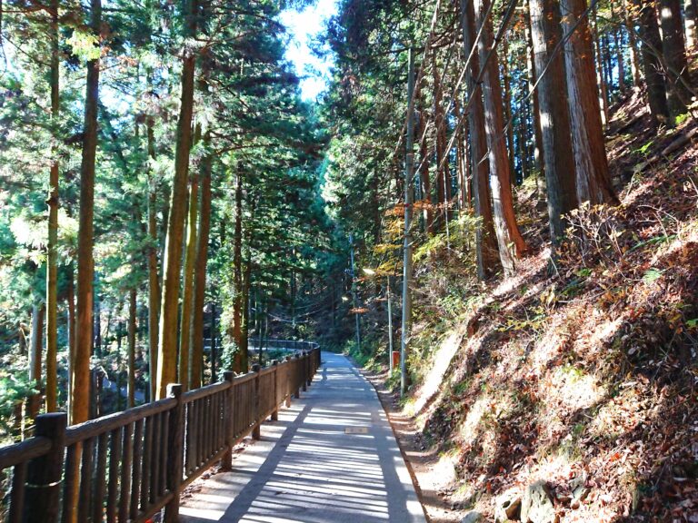 みたけさん登山道