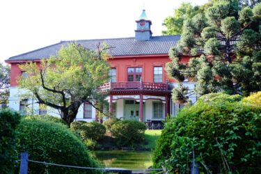 【白山】歴史と科学と自然に触れる小石川植物園
